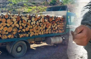 Кривична пријава против три лица, го оштетиле буџетот на ЈП „Национални шуми“ за над три милиони денари