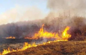Уапсено лице од струшко, фатено е при обид да запали сува трева и грмушки
