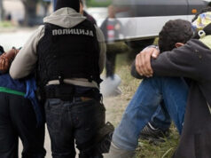 Уапсен Турчин: во патничко возило превезувал пет лица мигранти