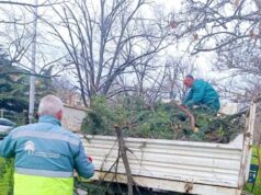 Општина Аеродром: Голема акција за уредување на зелените површини