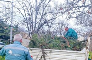 Општина Аеродром: Голема акција за уредување на зелените површини