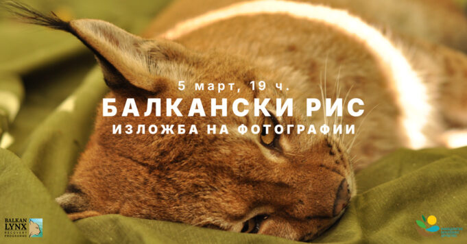 balkanski-ris-izlozba