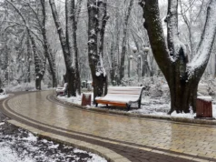 Снег и во БиХ, откажана наставата во училиштата и прекини во електричната енергија