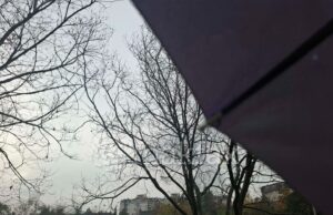 Променливо облачно време со слаб локален дожд