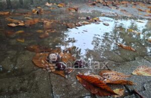 Промена на времето: Доаѓаат врнежи, ветер и пониски температури