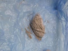 Пронајдена дрога во Гостивар, уапсени три лица