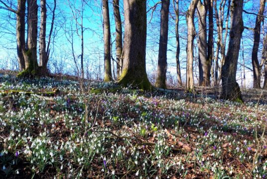 Утре променливо облачно со сончеви периоди, во почетокот на новата седмица со услови за повремени локални врнежи од дожд