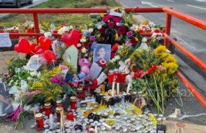 Врховниот суд го одби барањето, возачот кој ја прегази Фросина на „Партизанска“ ќе остане во затвор 13 години