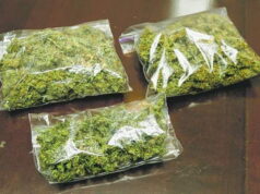 Полицијата во Кочани одзеде марихуана од две лица