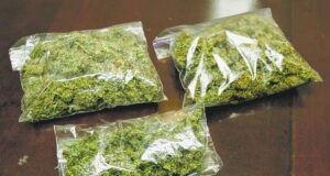 Полицијата во Кочани одзеде марихуана од две лица