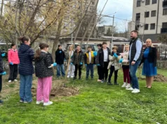 (Фото) Градоначалникот Митески заедно со учениците од „Браќа Миладиновци“ садеше дрвја