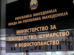 МЗШВ: Нема привилегирани и заштитени, секој што се огрешил и ја злоупотребил функцијата, ќе одговара