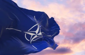 Чешка вели дека нема пари за одбрана за да ја исполни целта на НАТО