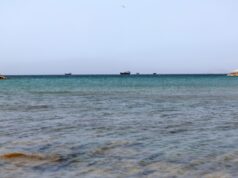 (Видео) Иран тврди дека соборил американски борбен авион Ф-15 во близина на Ормутскиот теснец