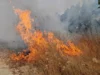 ЦУК: До 18 часот регистрирани се 14 пожари на отворено