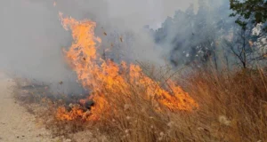 ЦУК: До 18 часот регистрирани се 14 пожари на отворено