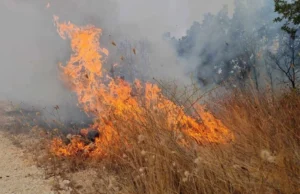 Уапсено лице од село во општина Старо Нагоричане, предивикало пожар во туѓ имот