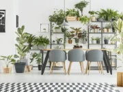 Дали вашите растенија се на погрешен прозорец? Проверете и исправете ја оваа грешка