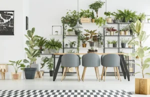 Дали вашите растенија се на погрешен прозорец? Проверете и исправете ја оваа грешка