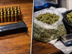 Претреси во Струга, Кичево и Охрид, пронајдени оружје, муниција и марихуана, уапсени четири лица