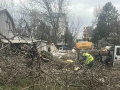 СДСМ Кисела Вода: Се сечат повеќегодишни дрвја на улица Козјак, со цел ослободување простор за изградба на нов објект