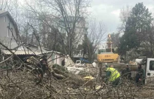 СДСМ Кисела Вода: Се сечат повеќегодишни дрвја на улица Козјак, со цел ослободување простор за изградба на нов објект
