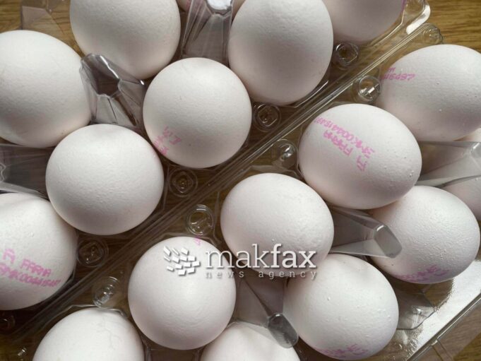 340269399_2409867992523691_10553194539601120_n