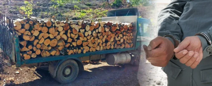 657382225_1241209291522929_4827939032077936469_n