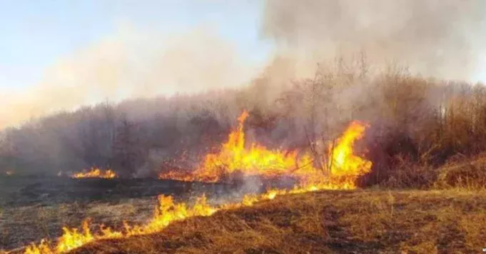 658378315_1241077878202737_7826135789171759776_n