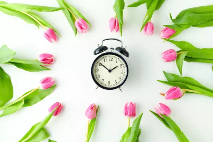 proletno-vremedepositphotos_472647626_xl