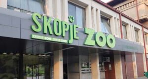 Кој може да гарантира било чија безбедност во ЗОО Скопје, прашуваат од „Анима Мунди“
