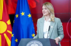 Течниот нафтен гас – плин намален за 5 денари по литар, носиме мерки што даваат директен ефект врз цените, вели Митева