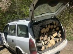 Уапсен дрвокрадец од скопско