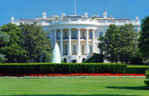 САД: НАТО му го сврте грбот на американскиот народ