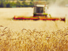 Лажна вест е дека земјоделци со диплома ќе имаат приоритет за субвенции, објави Министерството за земјоделство