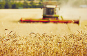 Лажна вест е дека земјоделци со диплома ќе имаат приоритет за субвенции, објави Министерството за земјоделство