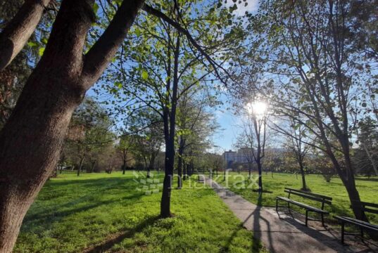 Утре сончево и топло време со температура до 26 степени