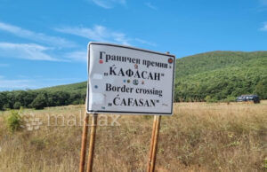 Спречен влез на 10 тони јагнешка кожа од Албанија поради ризик од чума