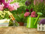 За најубавите цвеќиња: Една капка од ова во саксија прави чуда