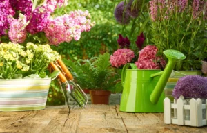 За најубавите цвеќиња: Една капка од ова во саксија прави чуда