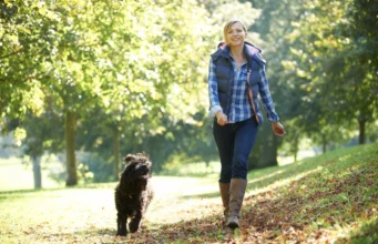 Што се случува со вашето тело ако не пешачите редовно?