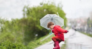 Утре облачно време со повремени врнежи од дожд, температура до 16 степени