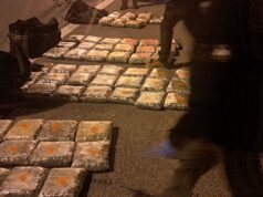 Околу 65 килограми марихуана запленети кај Градско, истрага против две лица