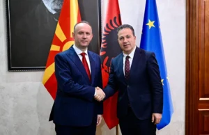 Гаши од Тирана: Реални можности дома се клучот за спречување на миграцијата