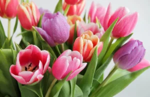 Цвеќиња што треба да ги имате во куќата за Велигден – за мир и радост за целото семејство