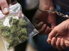 Уапсен 22-годишник од Радовиш: пронајдена марихуана