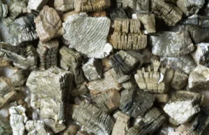 „Природата не е на распродажба“: ДОМ алармира дека новите законски измени отвораат врата за слабеење на еколошката заштита