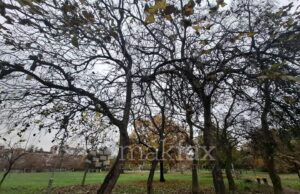 Утре претежно облачно време со повремени локални врнежи од дожд