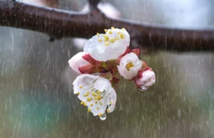 Претежно облачно со повремени врнежи од дожд