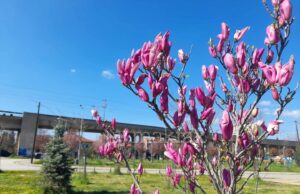 Сончево и потопло време: Максималната температура до 21 степен